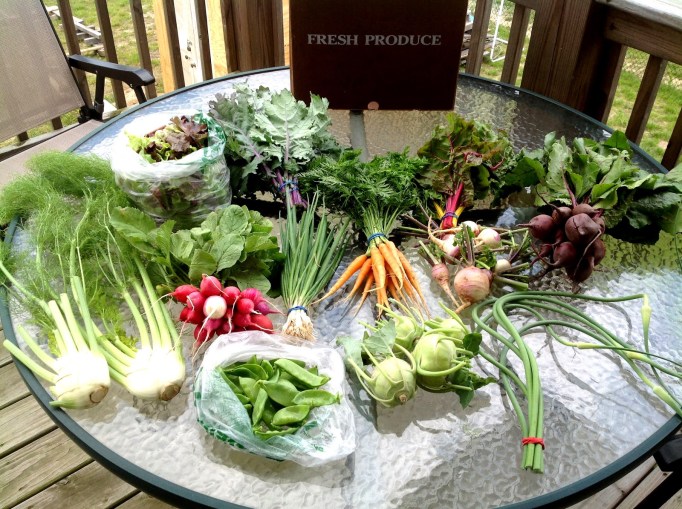 CSA Box_1