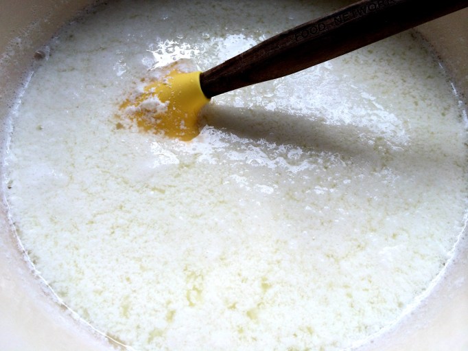 Milk curdling for homemade ricotta cheese