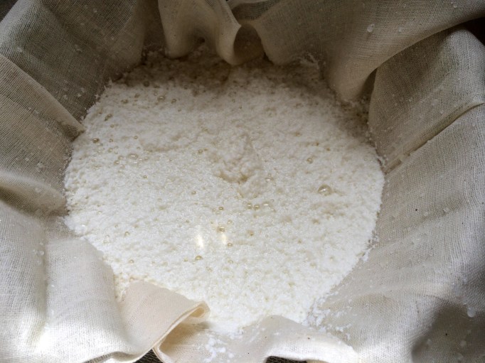 Homemade ricotta cheese straining