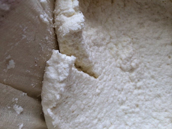 Homemade ricotta cheese strained closeup