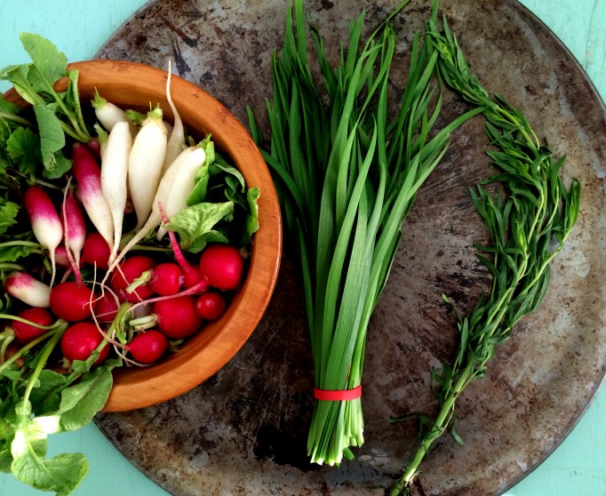 Radishes, garlic chives, tarragon