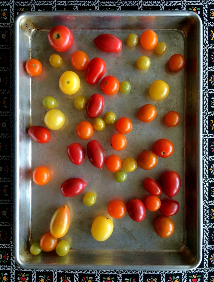 Tomato & Avocado Salad