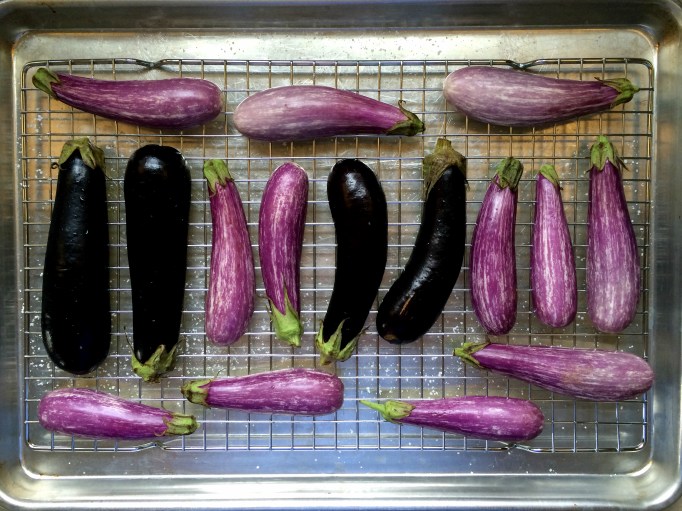 Charred Eggplant with Maple Balsamic Syrup