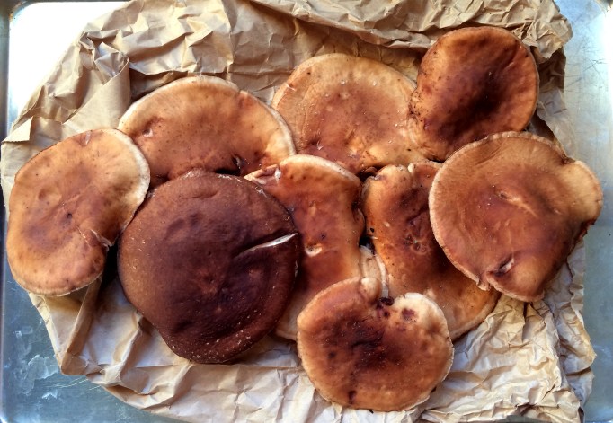 Vegan Garlic Cream Pasta w/ Roasted Broccoli & Mushrooms