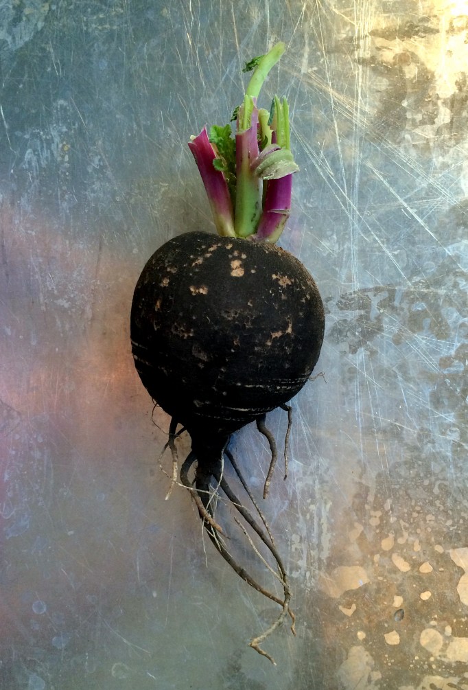 Apple Kale Salad with Curry Vinaigrette