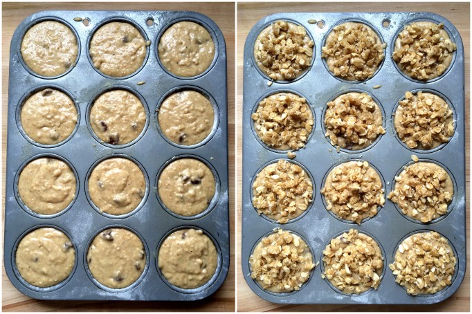 Chocolate Chip Coconut Oat Muffins