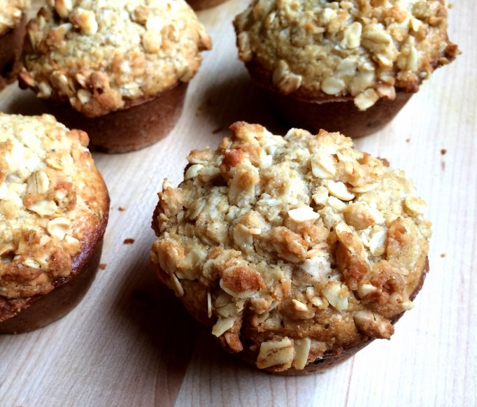 Chocolate Chip Coconut Oat Muffins