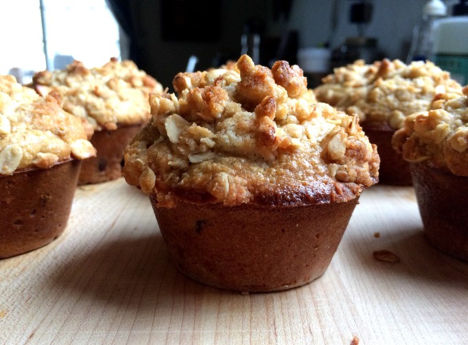 Chocolate Chip Coconut Oat Muffins