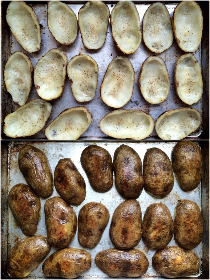 Shepherd's Pie Potato Skins